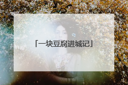 一块豆腐进城记