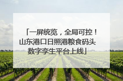 一屏统览，全局可控！山东港口日照港粮食码头数字孪生平台上线