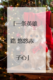 一条英雄路 悠悠赤子心