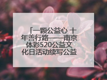 一颗公益心 十年善行路——南京体彩520公益文化日活动续写公益新篇章