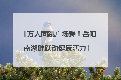 万人同跳广场舞！岳阳南湖畔跃动健康活力