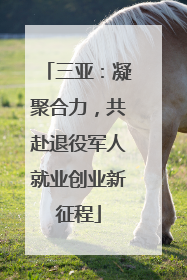 三亚：凝聚合力，共赴退役军人就业创业新征程