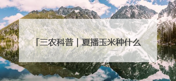 三农科普｜夏播玉米种什么？北京推荐这些优秀品种
