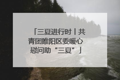 三夏进行时丨共青团睢阳区委暖心慰问助“三夏”