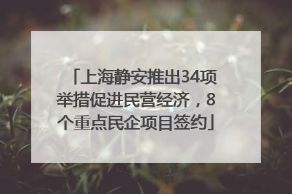 上海静安推出34项举措促进民营经济，8个重点民企项目签约