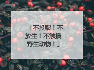 不投喂！不放生！不触摸野生动物！