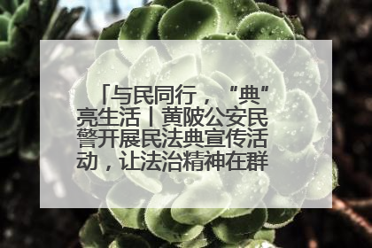 与民同行，“典”亮生活丨黄陂公安民警开展民法典宣传活动，让法治精神在群众心中落地生根