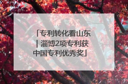 专利转化看山东｜淄博2项专利获中国专利优秀奖