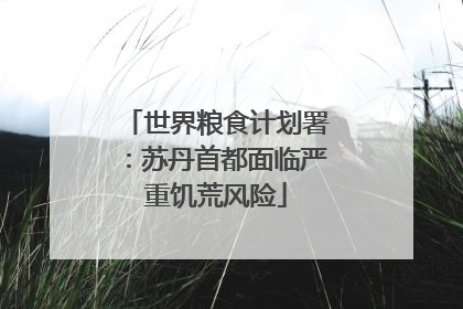 世界粮食计划署：苏丹首都面临严重饥荒风险