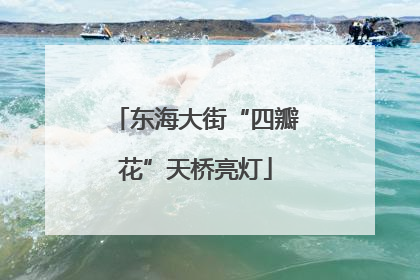 东海大街“四瓣花”天桥亮灯