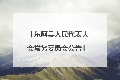 东阿县人民代表大会常务委员会公告