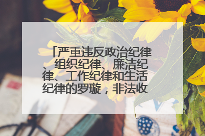 严重违反政治纪律、组织纪律、廉洁纪律、工作纪律和生活纪律的罗璇，非法收受他人巨额财物