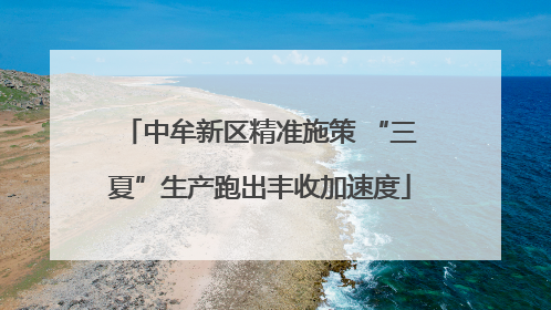 中牟新区精准施策 “三夏”生产跑出丰收加速度