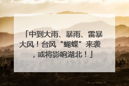 中到大雨、暴雨、雷暴大风！台风“蝴蝶”来袭，或将影响湖北！