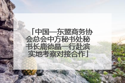 中国—东盟商务协会总会中方秘书处秘书长鹿德晶一行赴滨实地考察对接合作