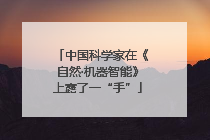 中国科学家在《自然·机器智能》上露了一“手”