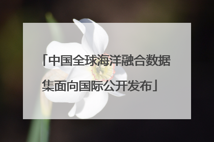 中国全球海洋融合数据集面向国际公开发布