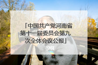 中国共产党河南省第十一届委员会第九次全体会议公报