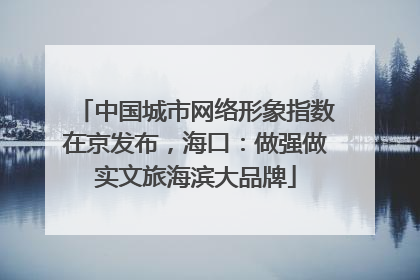 中国城市网络形象指数在京发布，海口：做强做实文旅海滨大品牌