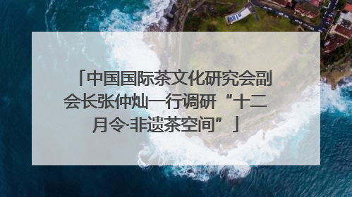 中国国际茶文化研究会副会长张仲灿一行调研“十二月令·非遗茶空间”