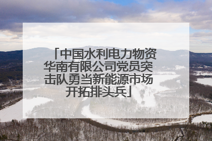 中国水利电力物资华南有限公司党员突击队勇当新能源市场开拓排头兵