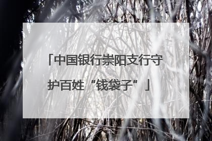 中国银行崇阳支行守护百姓“钱袋子”