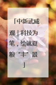 中新武威观｜科技为笔，绘就夏粮“丰”景