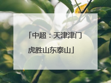 中超：天津津门虎胜山东泰山