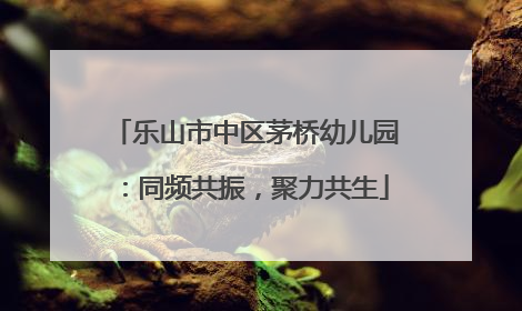 乐山市中区茅桥幼儿园：同频共振，聚力共生