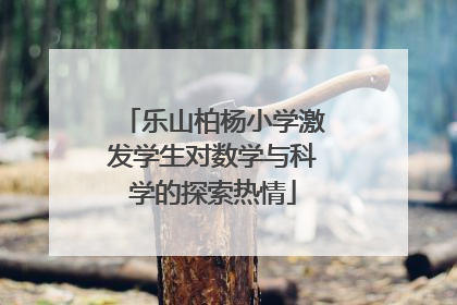 乐山柏杨小学激发学生对数学与科学的探索热情