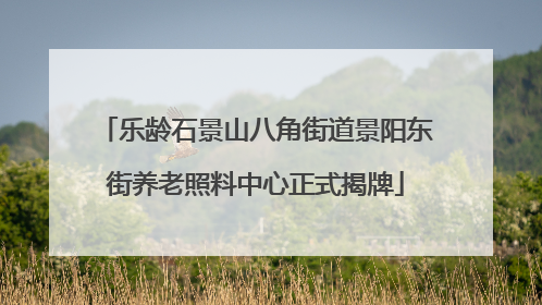 乐龄石景山八角街道景阳东街养老照料中心正式揭牌