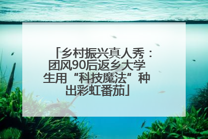 乡村振兴真人秀：团风90后返乡大学生用“科技魔法”种出彩虹番茄