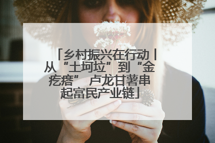 乡村振兴在行动丨从“土坷垃”到“金疙瘩” 卢龙甘薯串起富民产业链