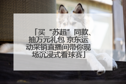 买“苏超”同款、抽万元礼包 京东运动采销直播间带你现场沉浸式看球赛