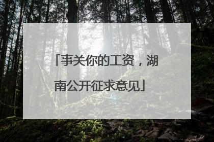事关你的工资，湖南公开征求意见