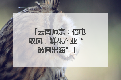 云南师宗：借电驭风，鲜花产业“破圈出海”