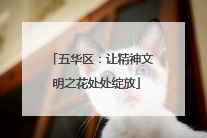 五华区：让精神文明之花处处绽放