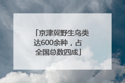 京津冀野生鸟类达600余种，占全国总数四成