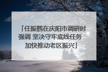 任振鹤在庆阳市调研时强调 坚决守牢底线任务 加快推动老区振兴