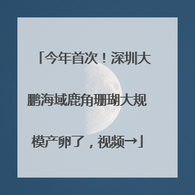 今年首次！深圳大鹏海域鹿角珊瑚大规模产卵了，视频→
