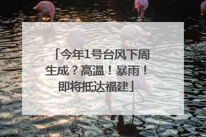 今年1号台风下周生成？高温！暴雨！即将抵达福建