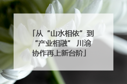 从“山水相依”到“产业相融” 川渝协作再上新台阶