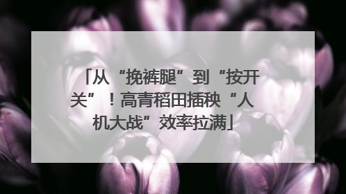 从“挽裤腿”到“按开关”！高青稻田插秧“人机大战”效率拉满