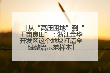 从“高压困地”到“千亩良田”：浙江金华开发区这个地块打造全域整治示范样本