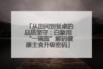 从田间到餐桌的品质坚守：白象用“一碗面”解码健康主食升级密码