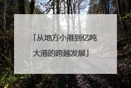 从地方小港到亿吨大港的跨越发展