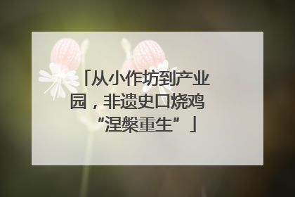 从小作坊到产业园，非遗史口烧鸡“涅槃重生”