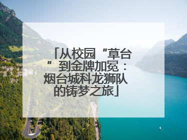从校园“草台”到金牌加冕：烟台城科龙狮队的铸梦之旅