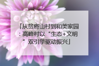 从贫瘠山村到和美家园：高峰村以“生态+文明”双引擎驱动振兴