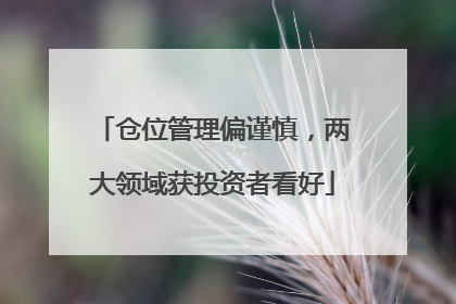 仓位管理偏谨慎，两大领域获投资者看好
